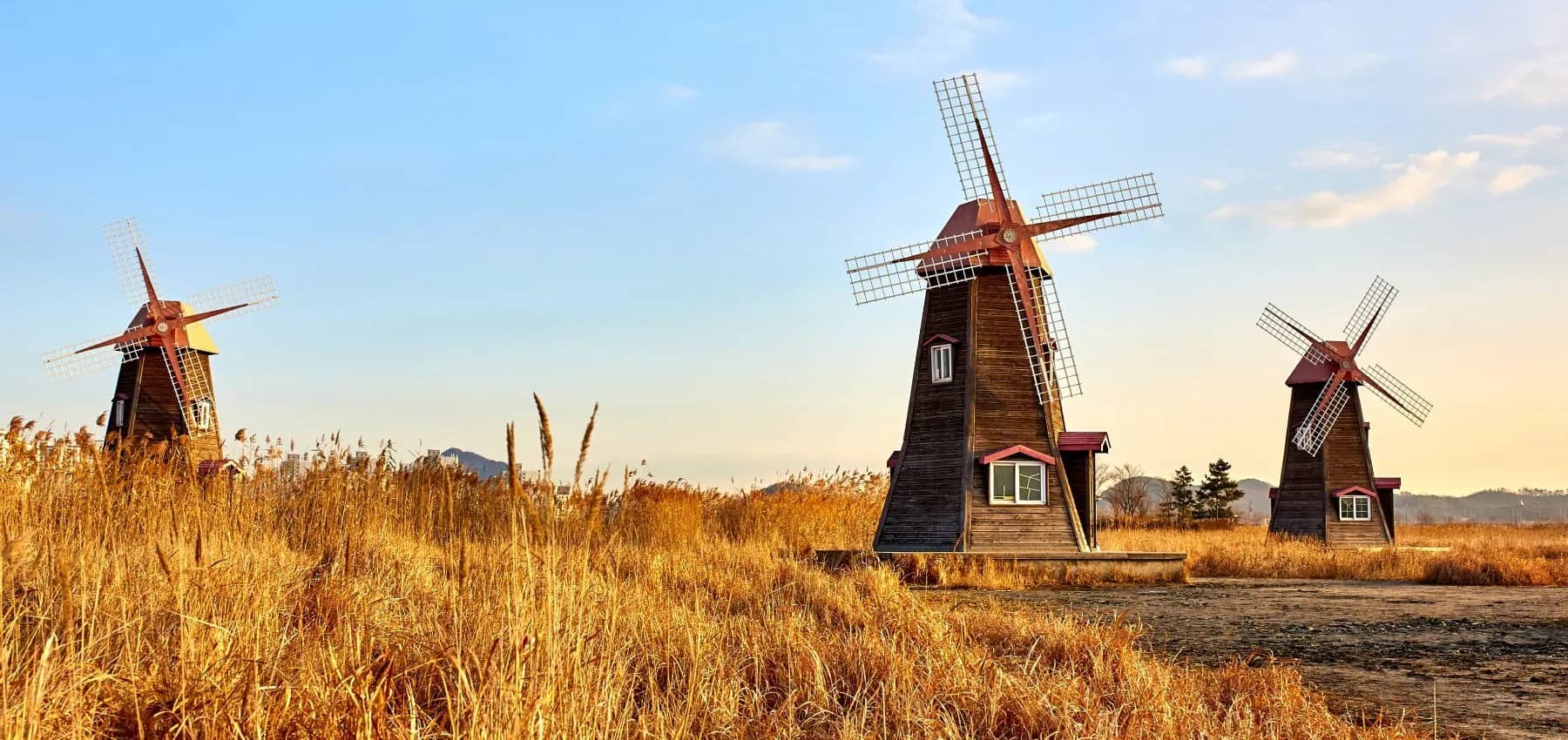 Succession planning, three wooden windmills standing in a golden field at dusk.