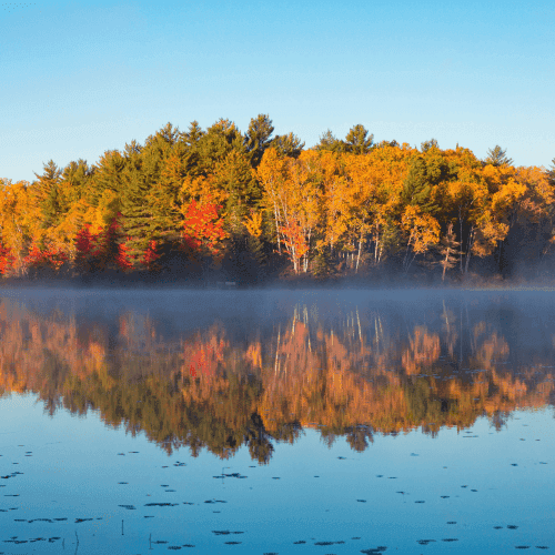 Calm lake with autumn trees reflected in the water, symbolising family office reputation and visibility