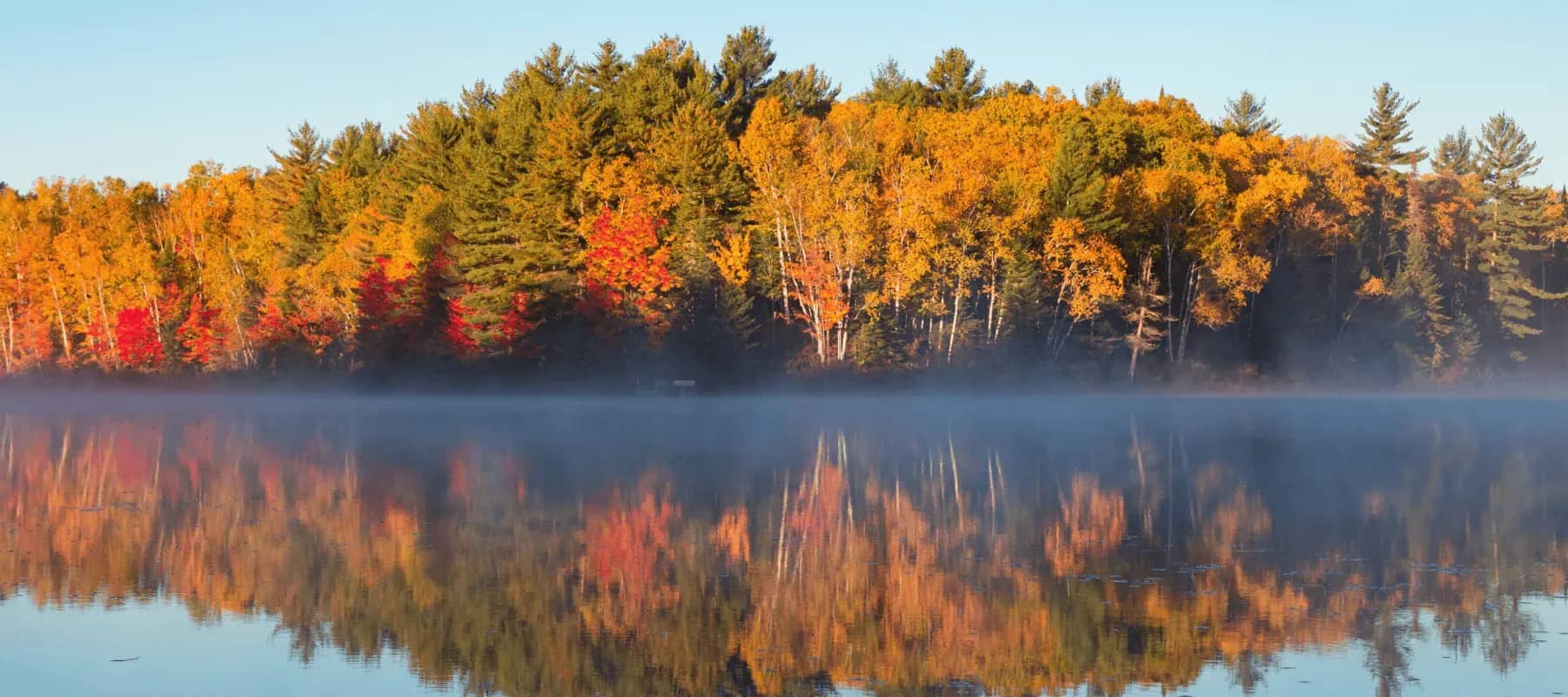 Reputation and family offices, an autumn forest reflected in a mist-covered lake.