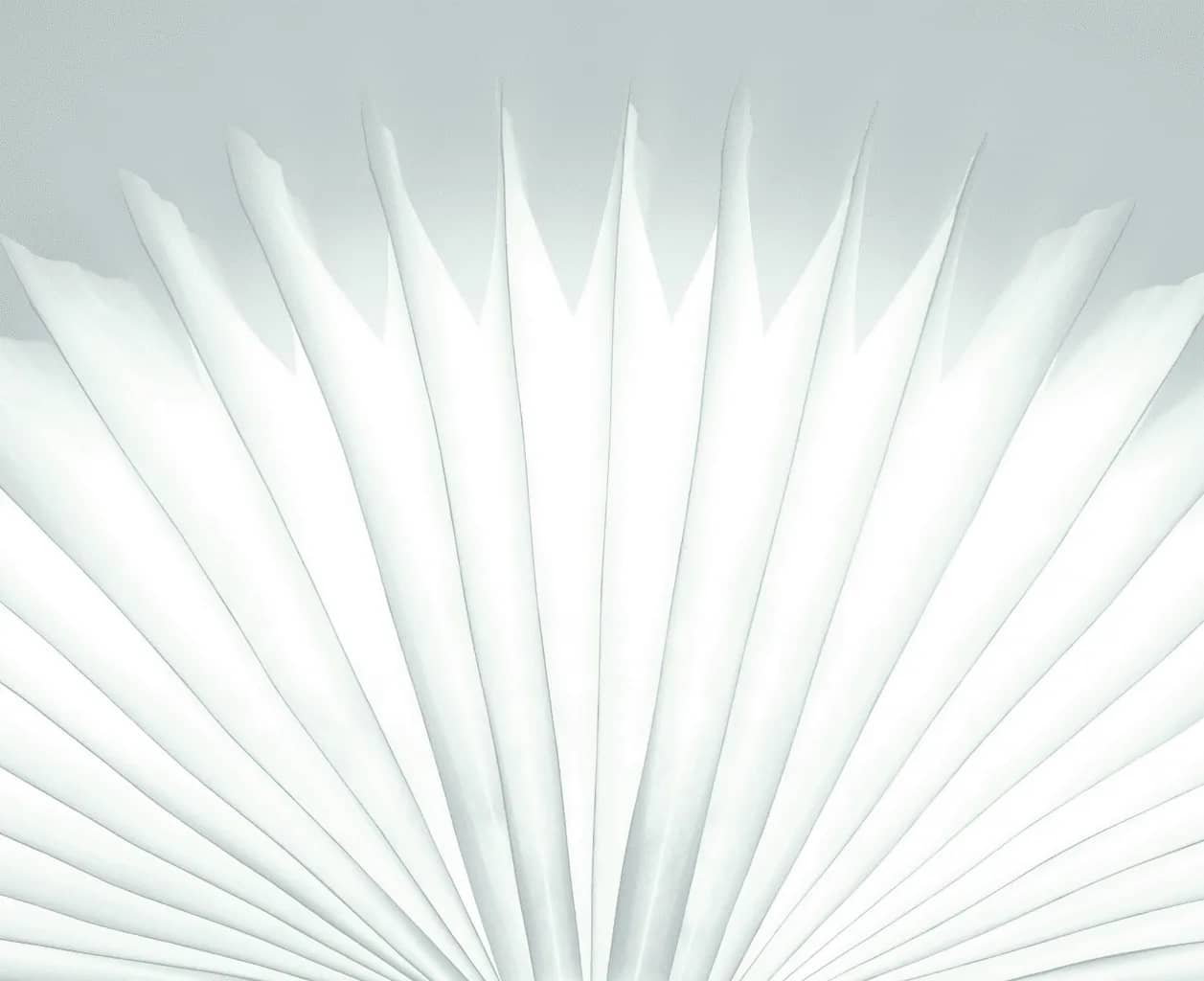 Consolidating family assets, curved white fins fanning outward like the pages of an open book.