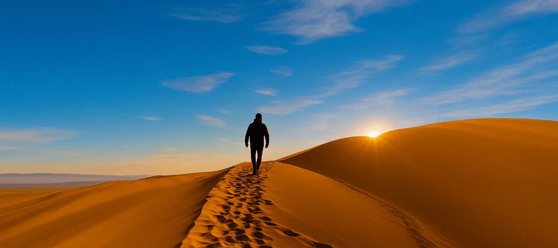 AI and venture capital, a lone figure walking a desert dune ridge at sunrise.