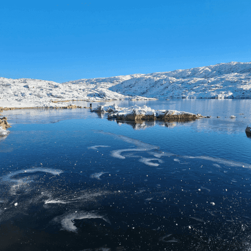 AI in family office software 2025 – from hype to implementation, symbolised by frozen lake and clear reflection