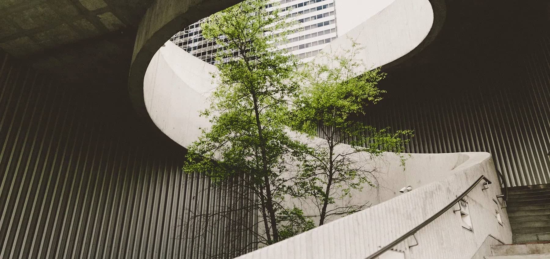 Regenerative business, a tree growing beside a curved concrete structure.
