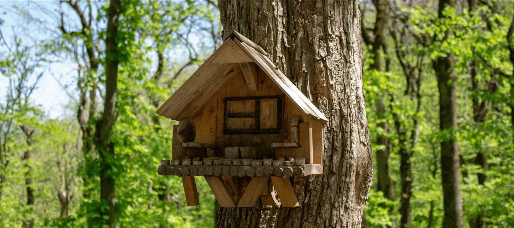 Brand in the family charter, a wooden birdhouse mounted on a tree in a bright forest.
