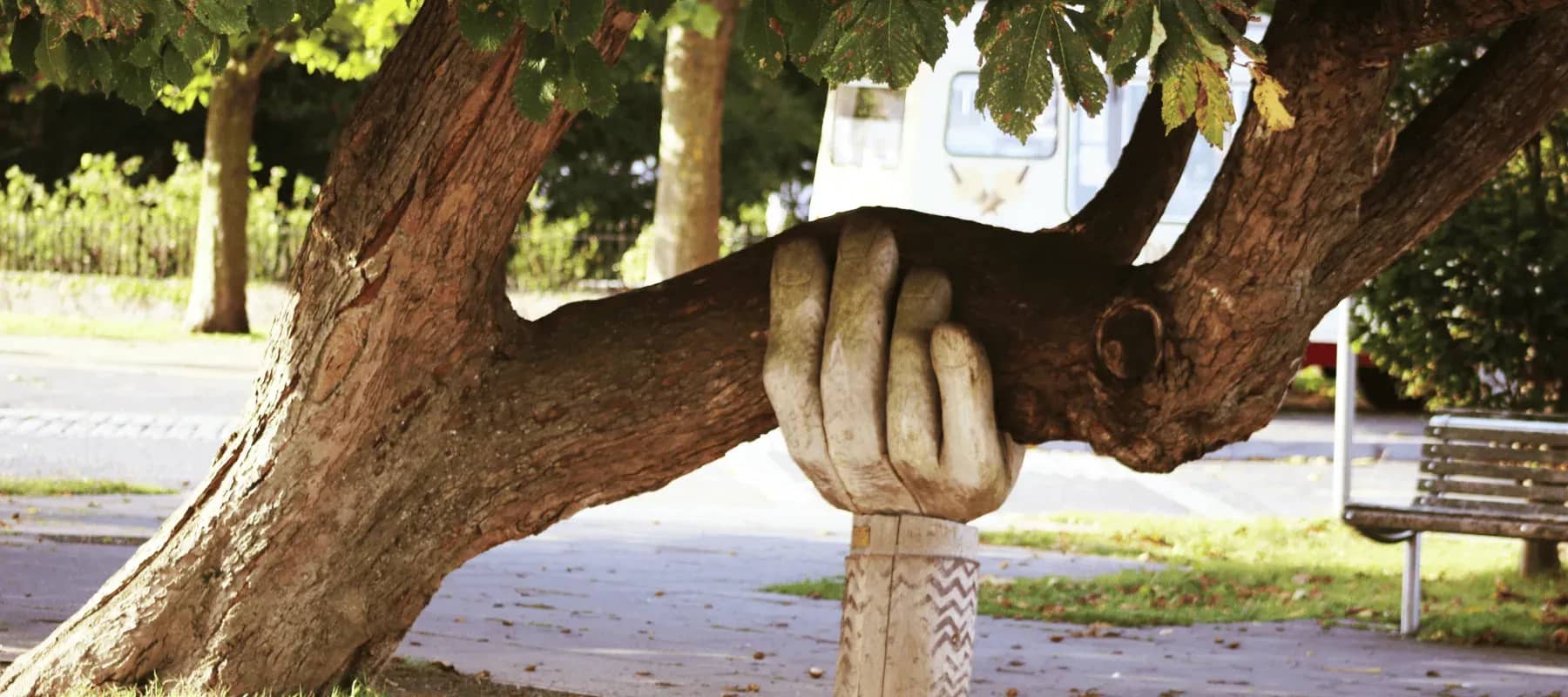 Automated back-office solutions, a carved wooden hand gripping the branch of a tree.