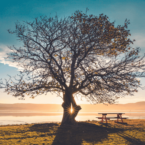 family foundations