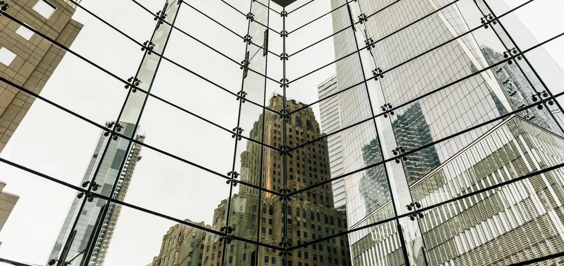 Family offices and banks, skyscrapers seen through the panes of a glass atrium roof.