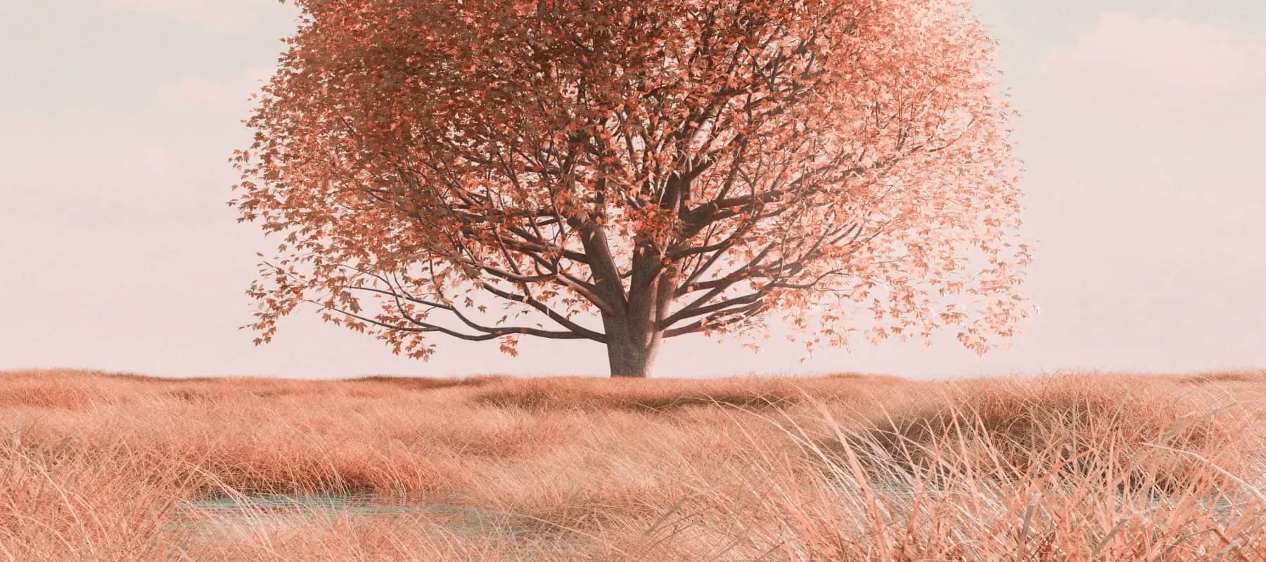 The integrator, a solitary blossoming tree in a soft pink field.