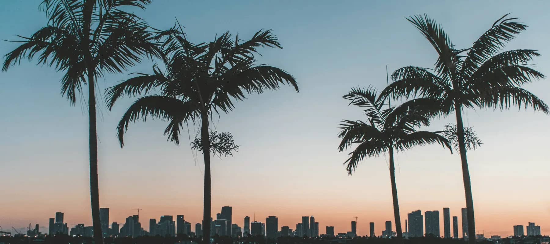 Florida family offices, palm trees silhouetted against a pale evening sky.