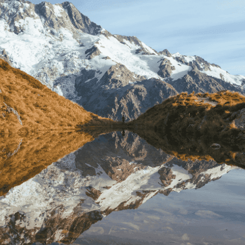 How Alwy empowered a high-touch firm to scale sustainably