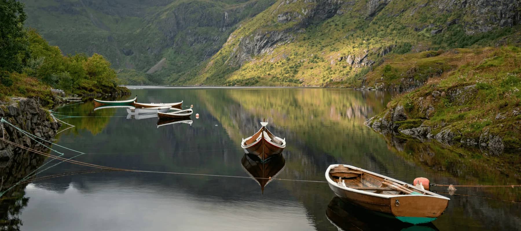 Impact investing, wooden boats moored on a still green lake.