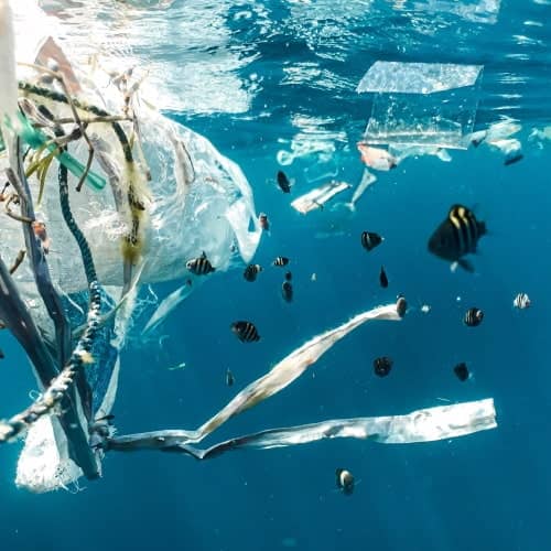 investing ocean conservation