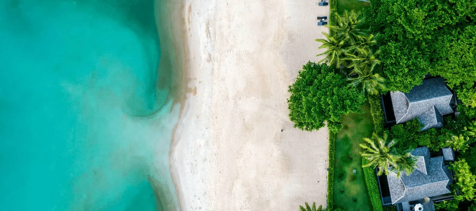 Lifestyle and travel management, an aerial view of turquoise shallows meeting a wooded shoreline.