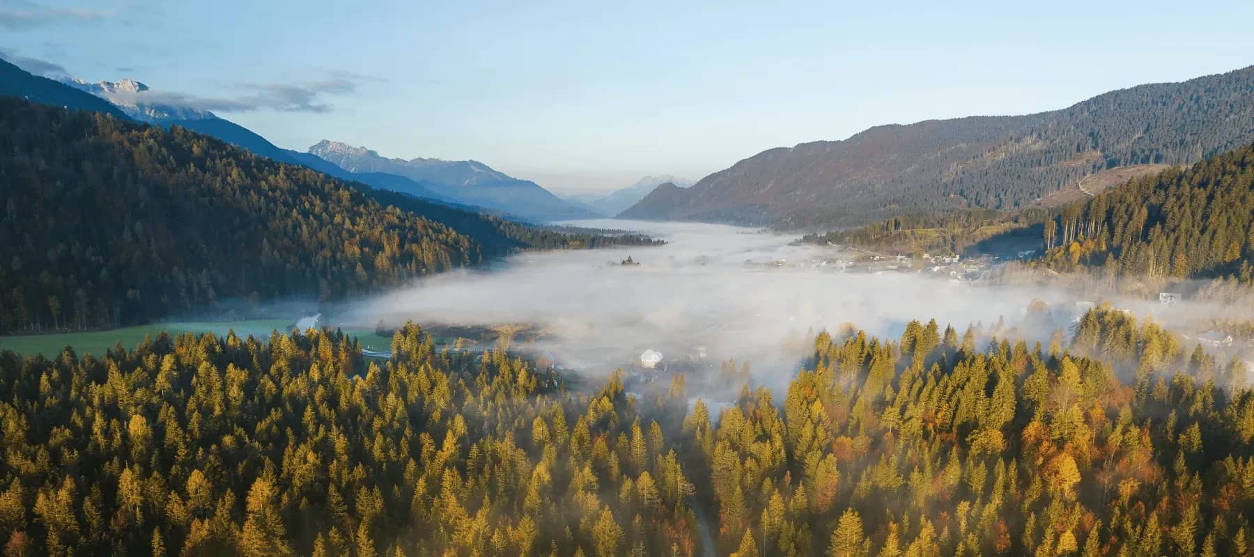 The cost of not adopting modern technology, mist settling over a forested alpine valley.