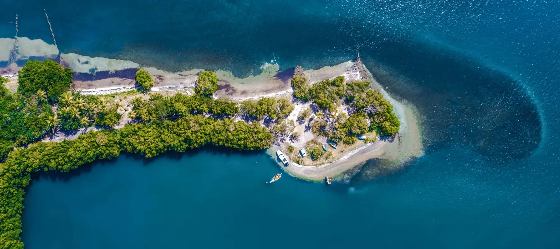 Family office payments, an aerial view of a wooded coastline meeting deep blue water.