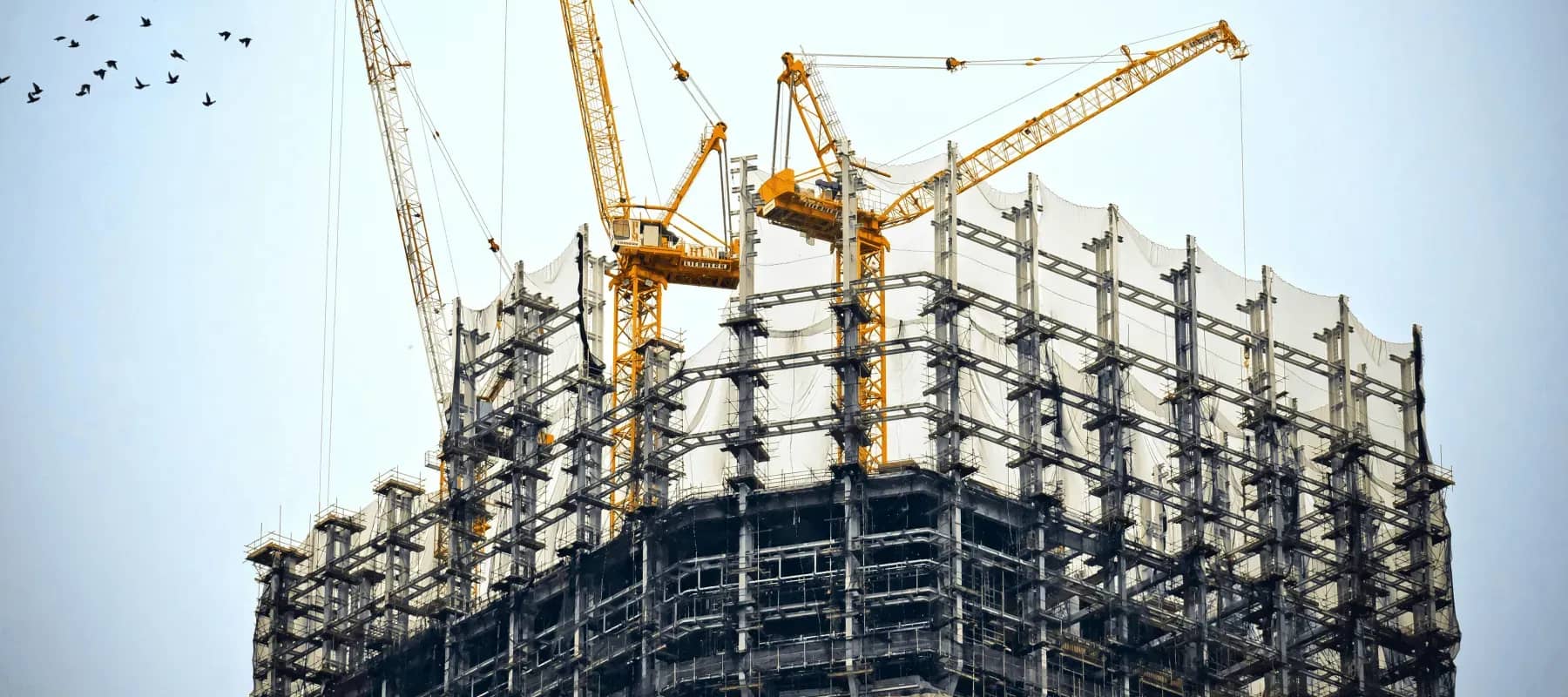 Family office software build versus buy, a building under construction wrapped in scaffolding and cranes.