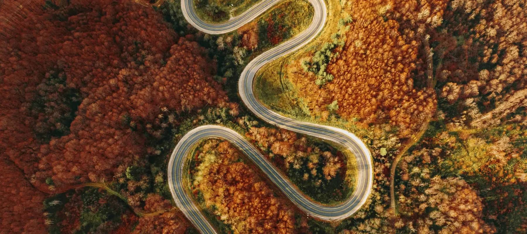 Philanthropy advice, an aerial view of a road winding through autumn forest.