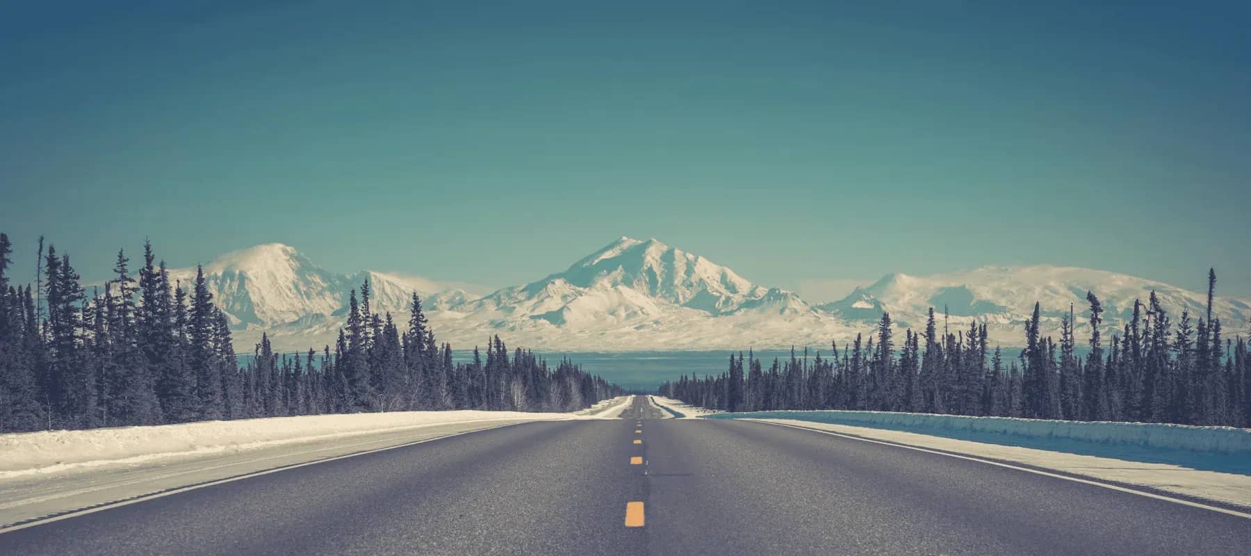 Private investment in family offices, snow-covered mountains beyond a dark pine forest.