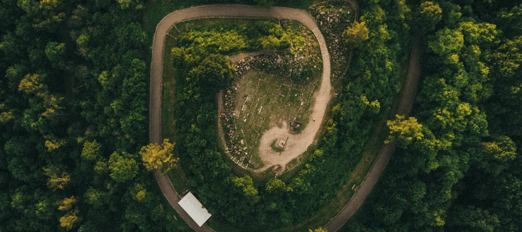 Family office liquidity, an aerial view of woodland paths curving through trees.