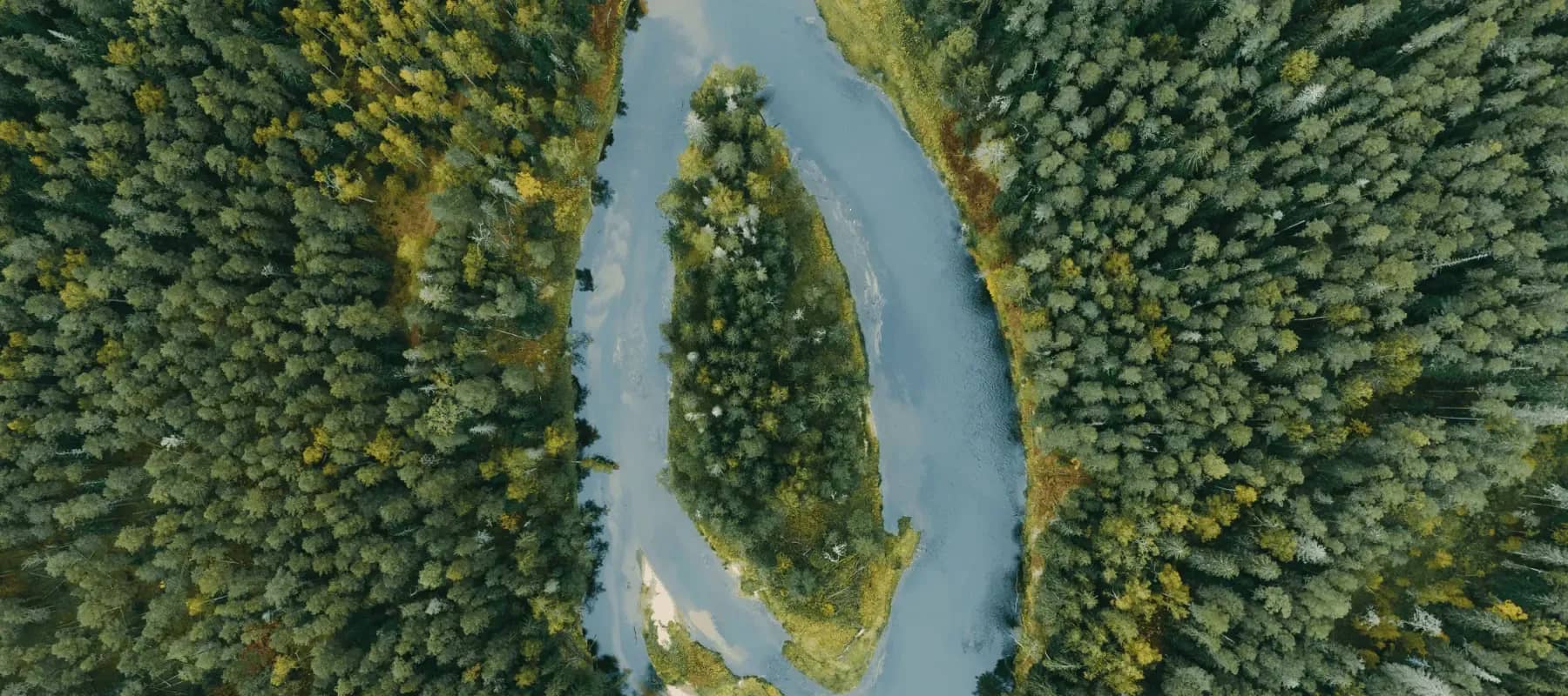 Starting a single family office, an aerial view of a river winding between forested banks.