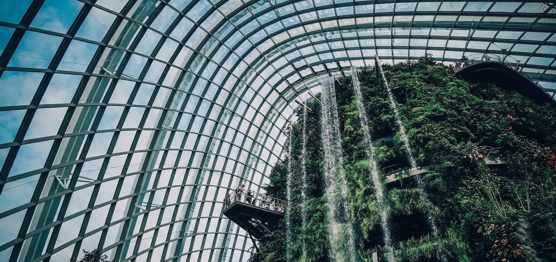 Family offices in Singapore, the glass dome and dense greenery of a botanical conservatory.