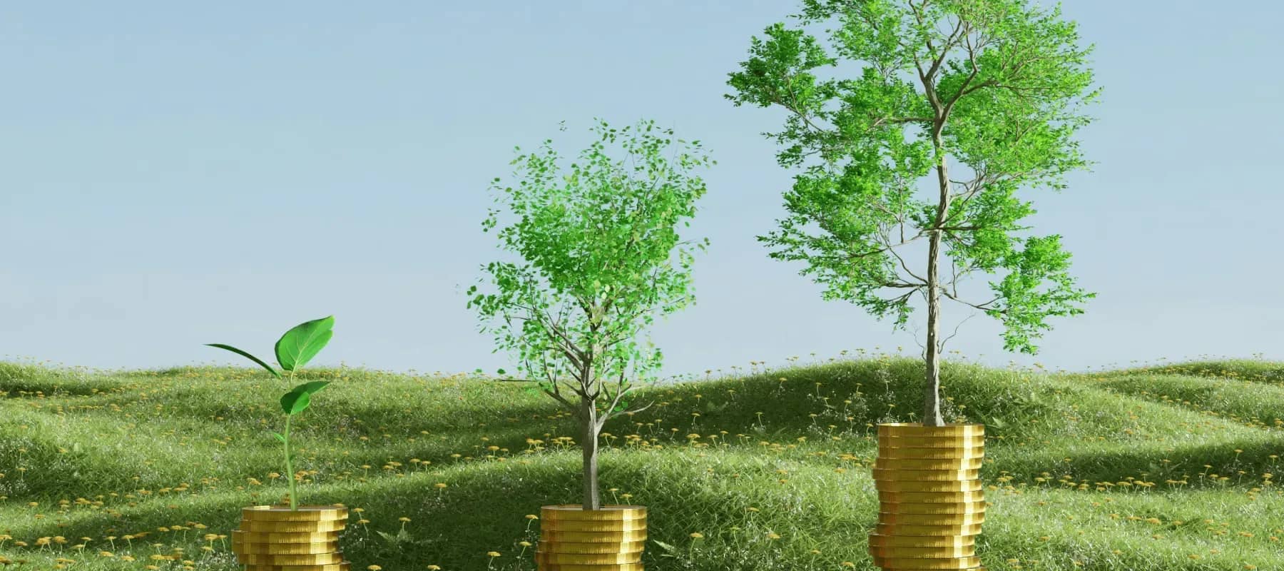 Stablecoins for family offices, a seedling rising beside young trees on open grass.
