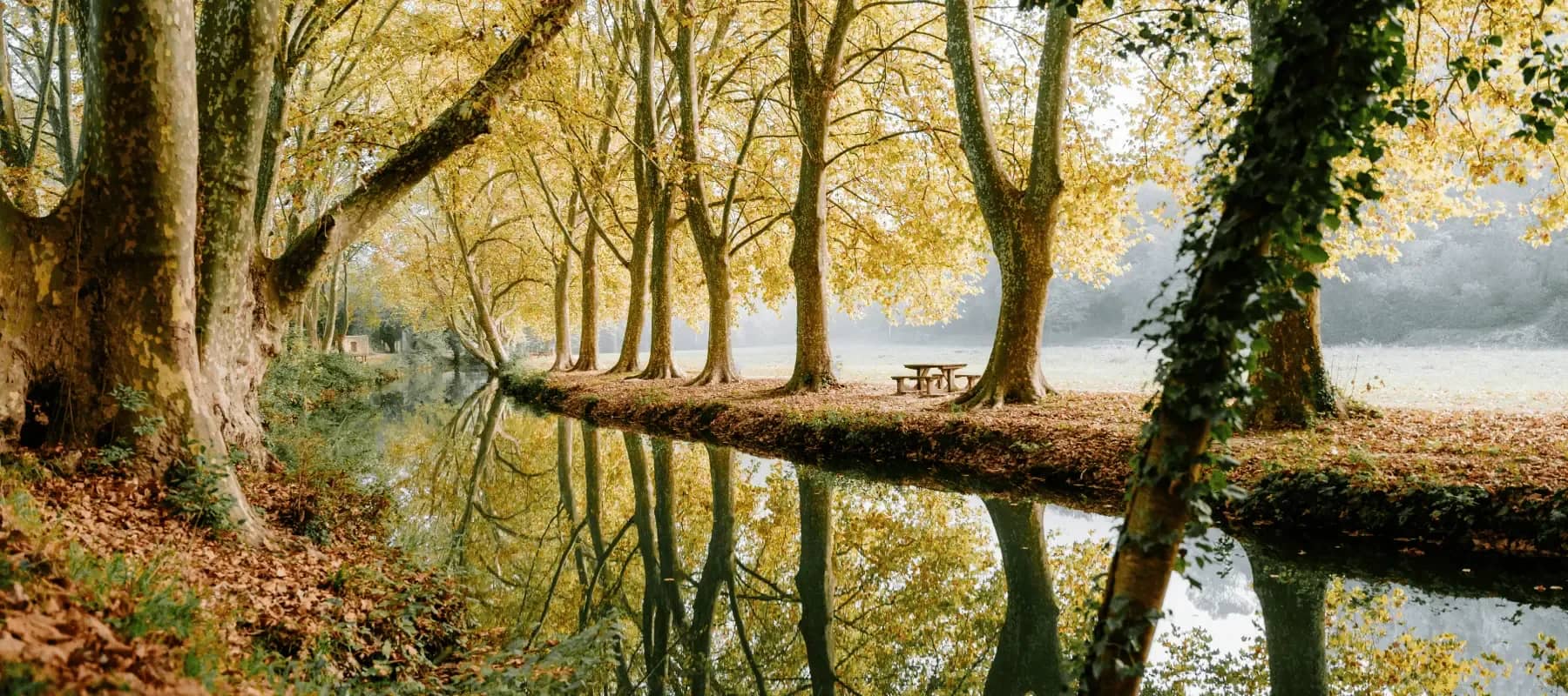 Vyzer's creation story, a tree-lined canal reflecting autumn light.