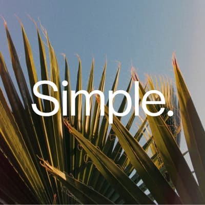 Still Life: On Time, Capital & What AI Cannot Rush | Simple | Newport Beach