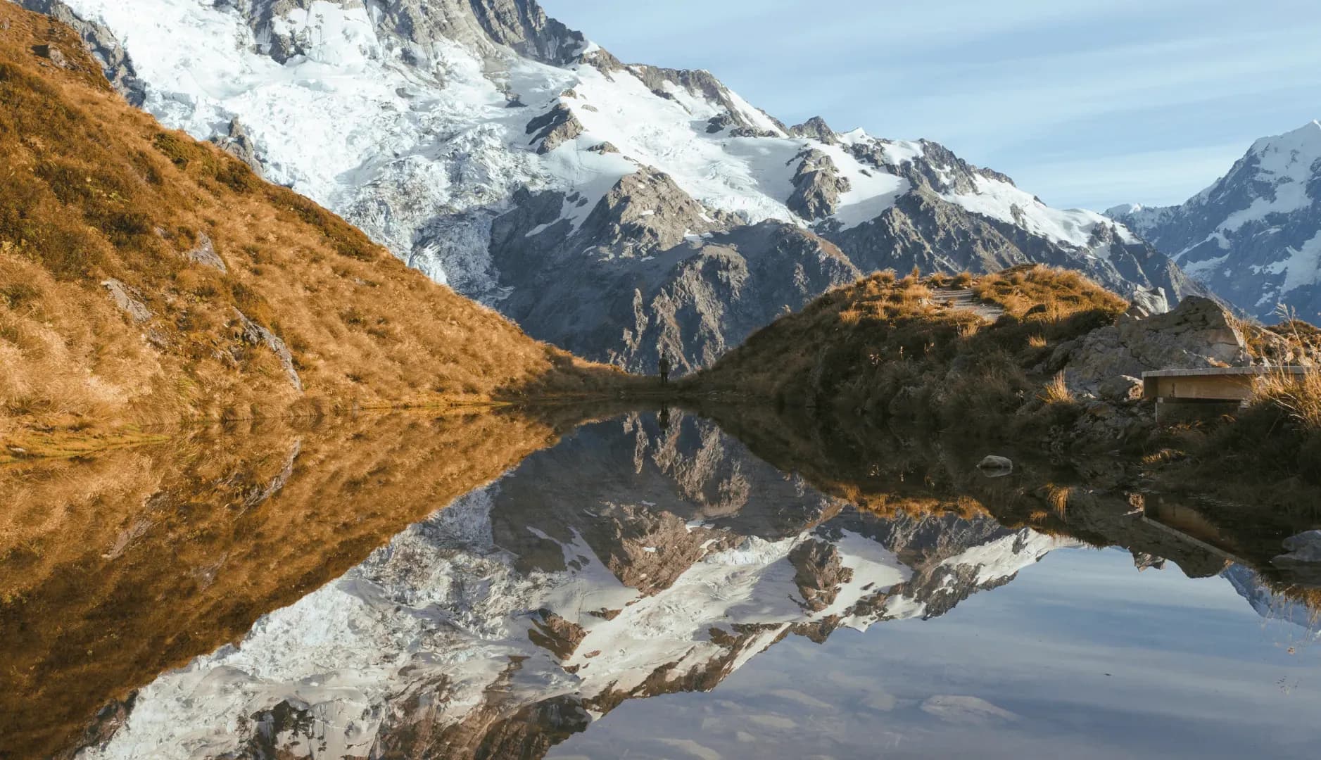 How Alwy empowered a high-touch firm to scale sustainably