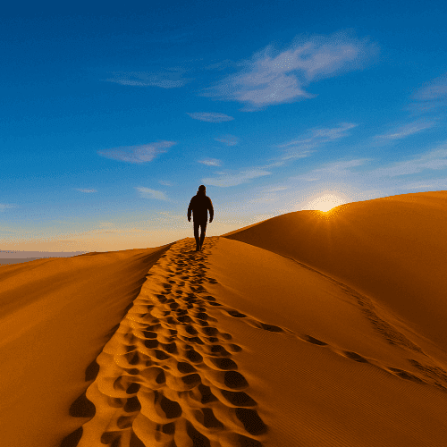 ai family offices