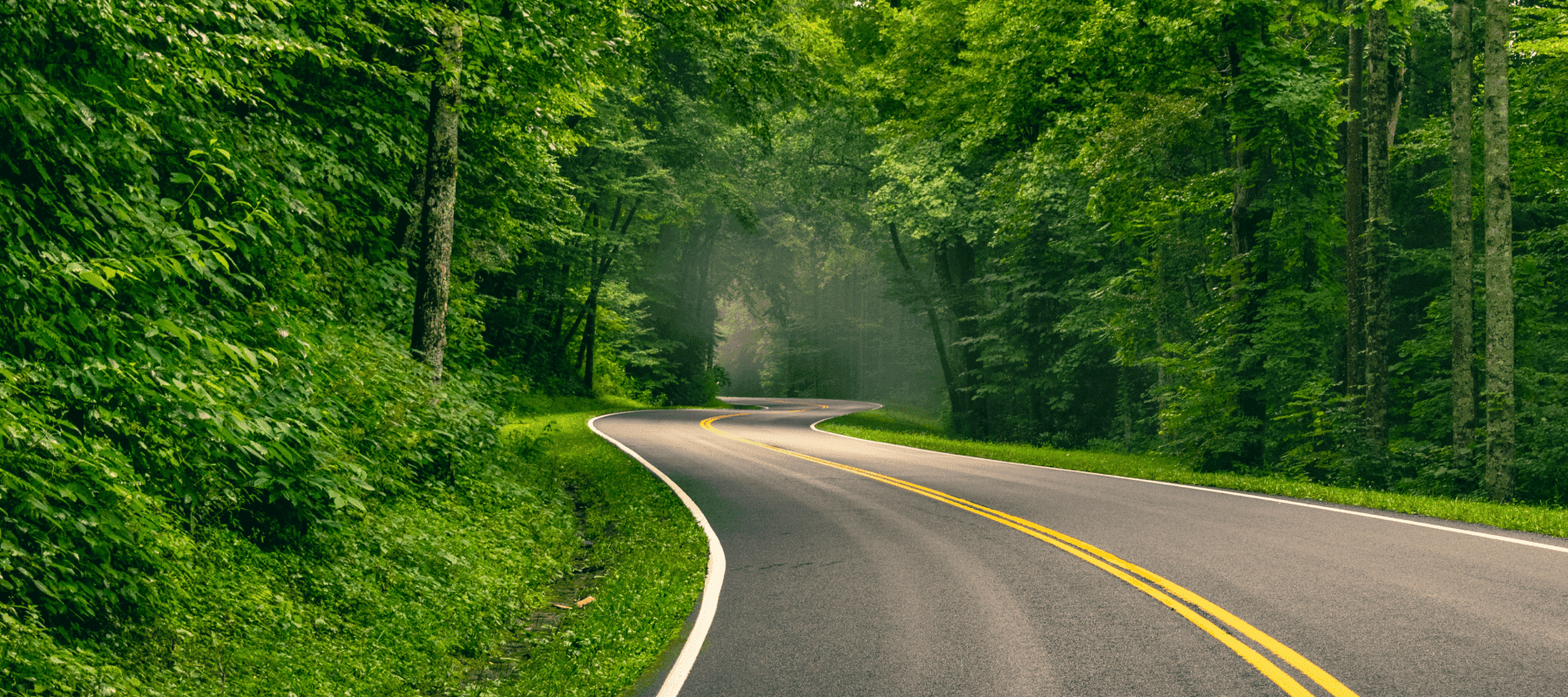 The future of alternative investments for family offices