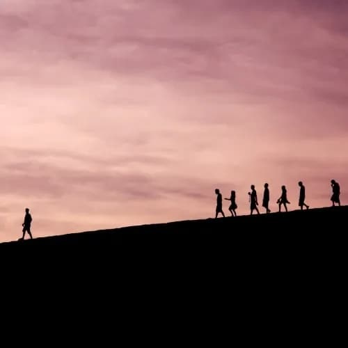 Family Offices and Venture Capital