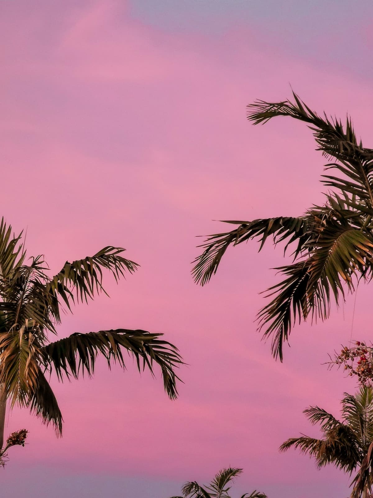 Simplifying AI for Family Offices | Simple | Miami