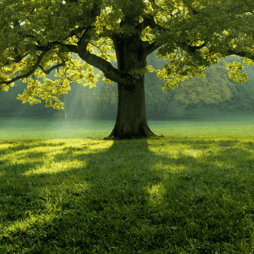 From fragmentation to focus: A $200M portfolio transformation