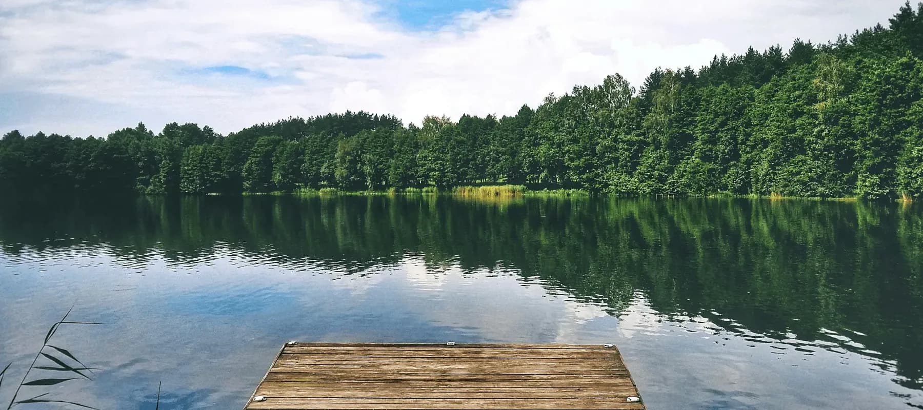 Simplifying ESG reporting for family offices