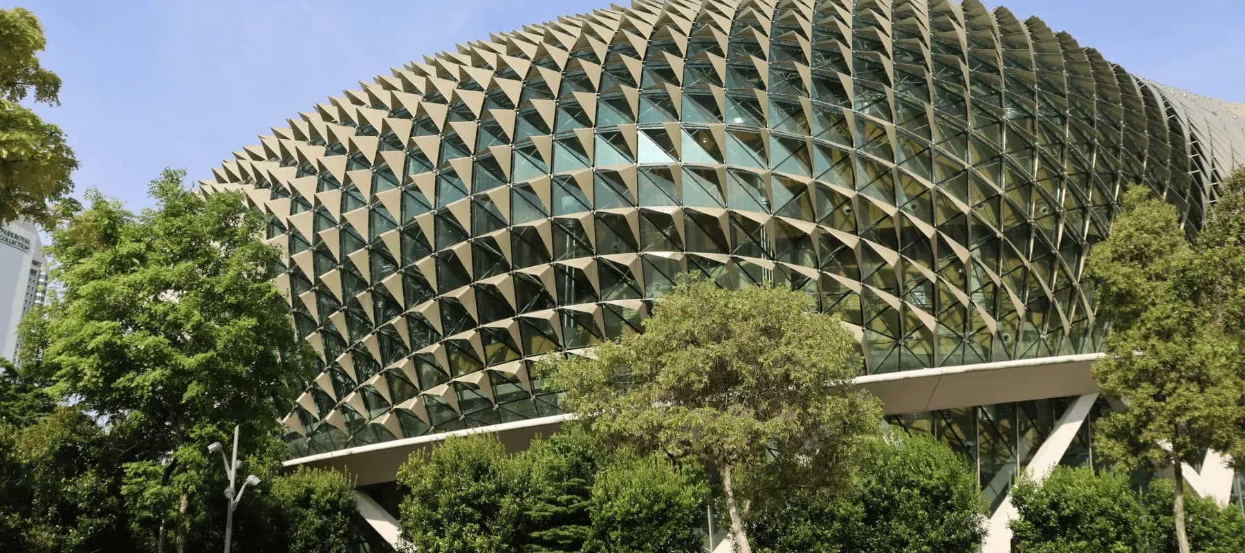 Shaping family office wealthtech in Singapore and beyond