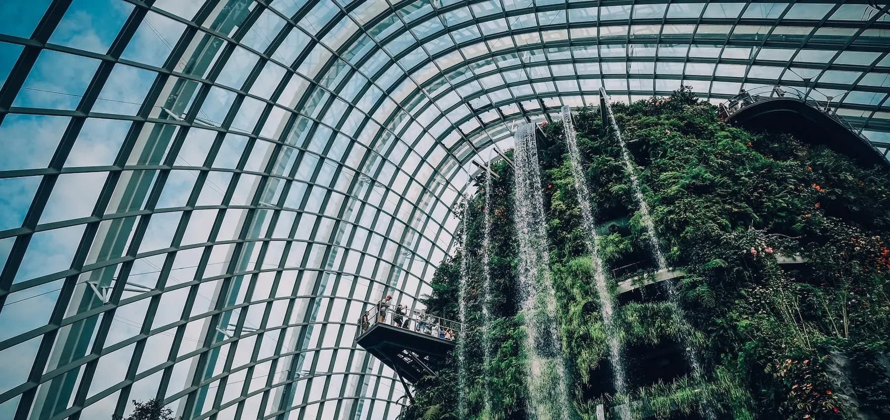 What family offices should know before setting up in Singapore