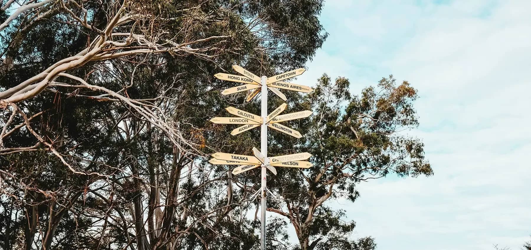 Conscious ownership, a multi-directional signpost of world cities among eucalyptus branches.