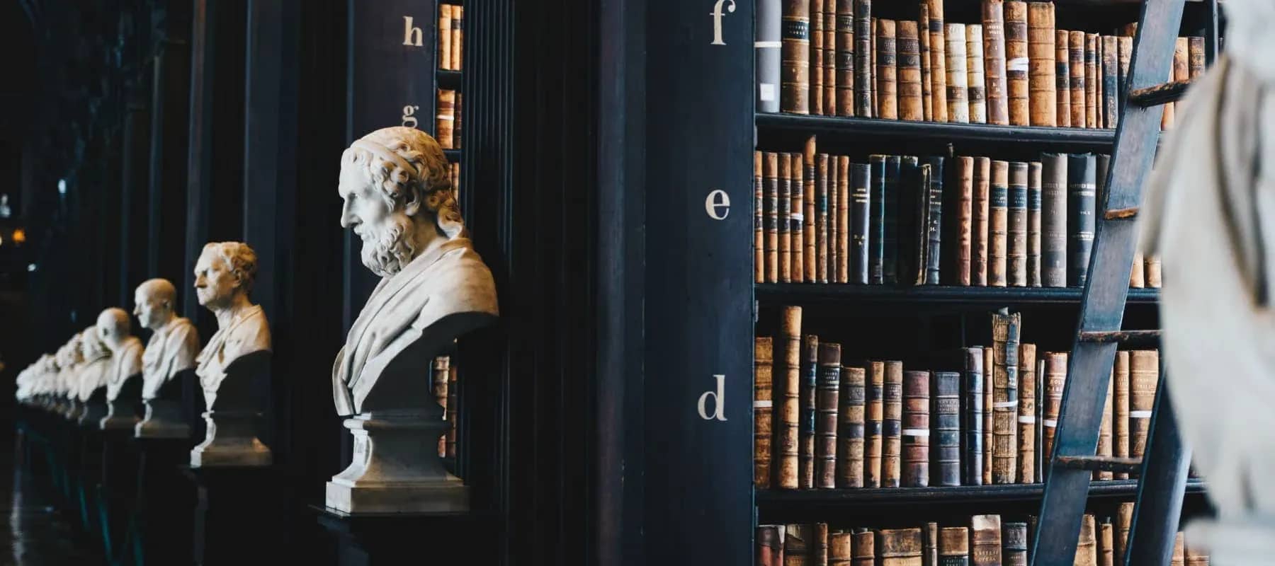Family fiduciary structures, classical marble busts standing beside shelves of old leather-bound books.