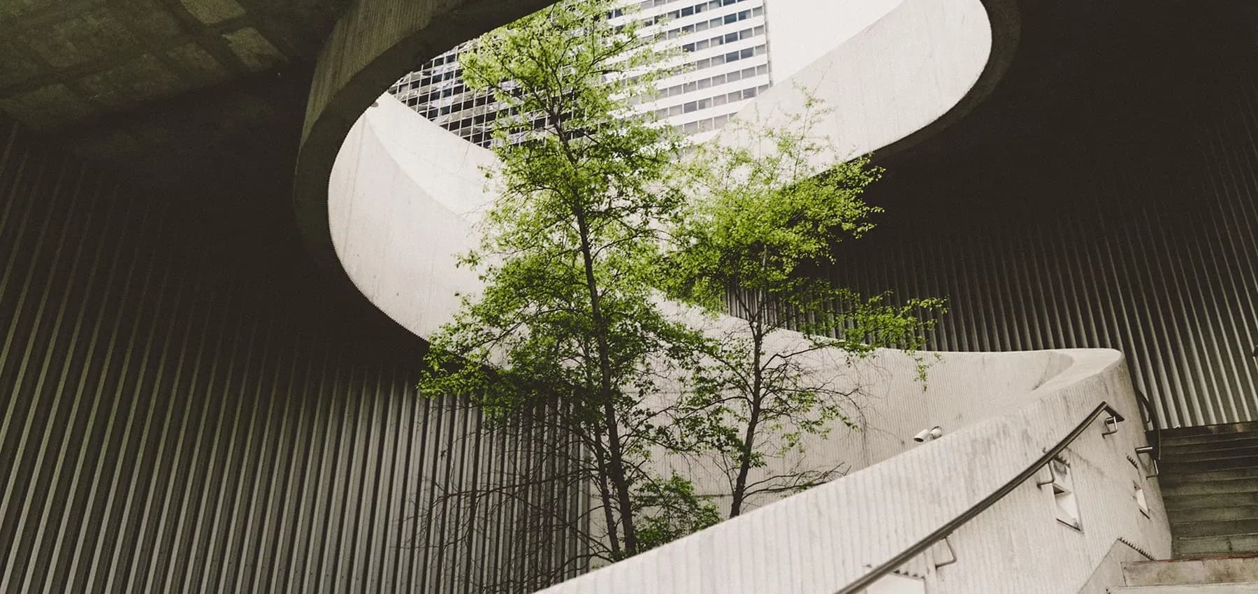 The role of regenerative business in modern value creation