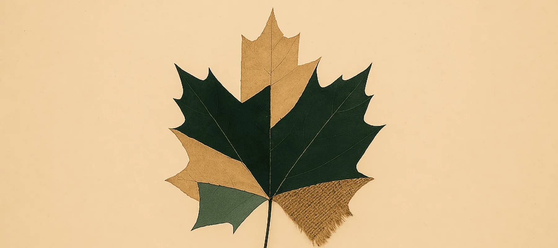 Family offices in Canada, a maple leaf half green and half gold on a cream background.