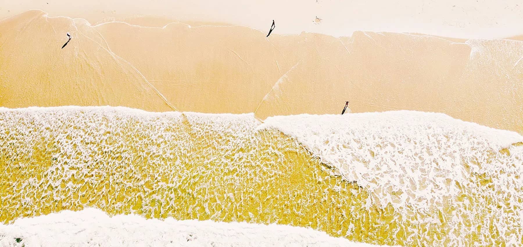 Family office venture investing, sea foam washing across golden sand.