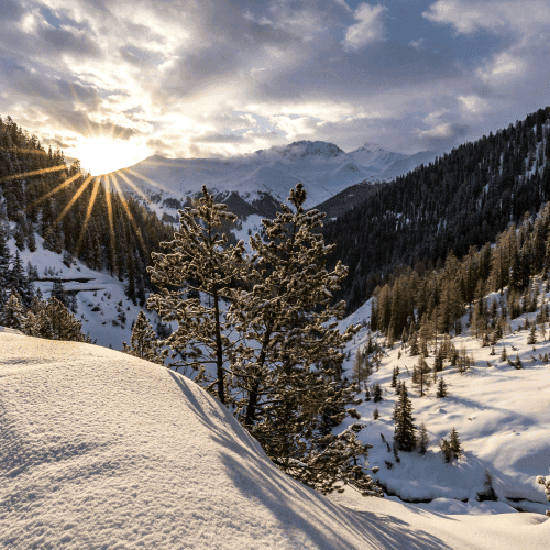 family office davos