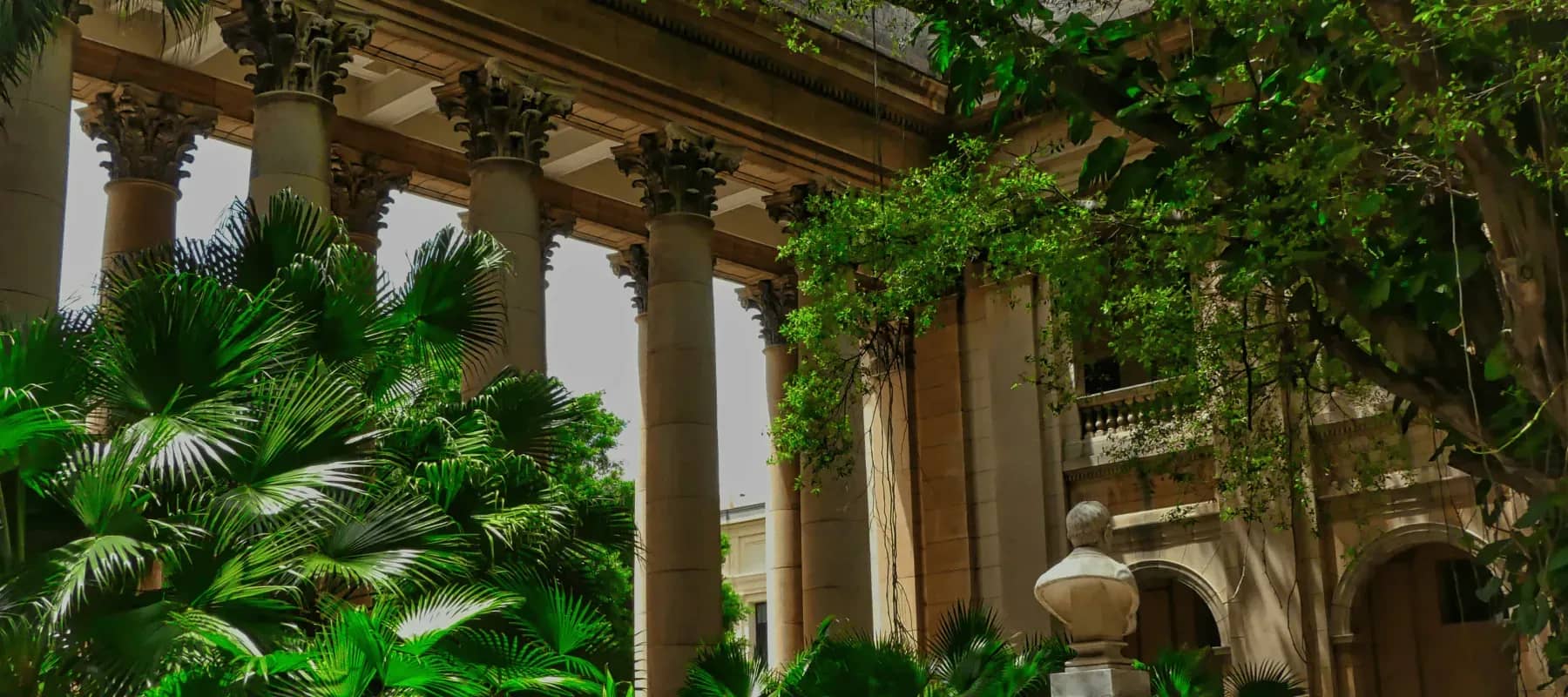 Holistic security, palms and climbing vines among classical stone columns.