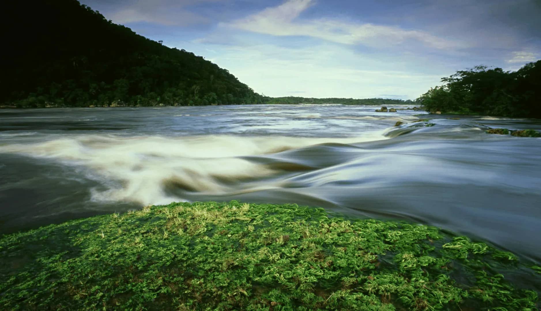 Hidden portfolio costs, a wide river running fast between green forested banks.