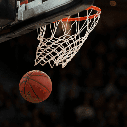 sporting celebrities
