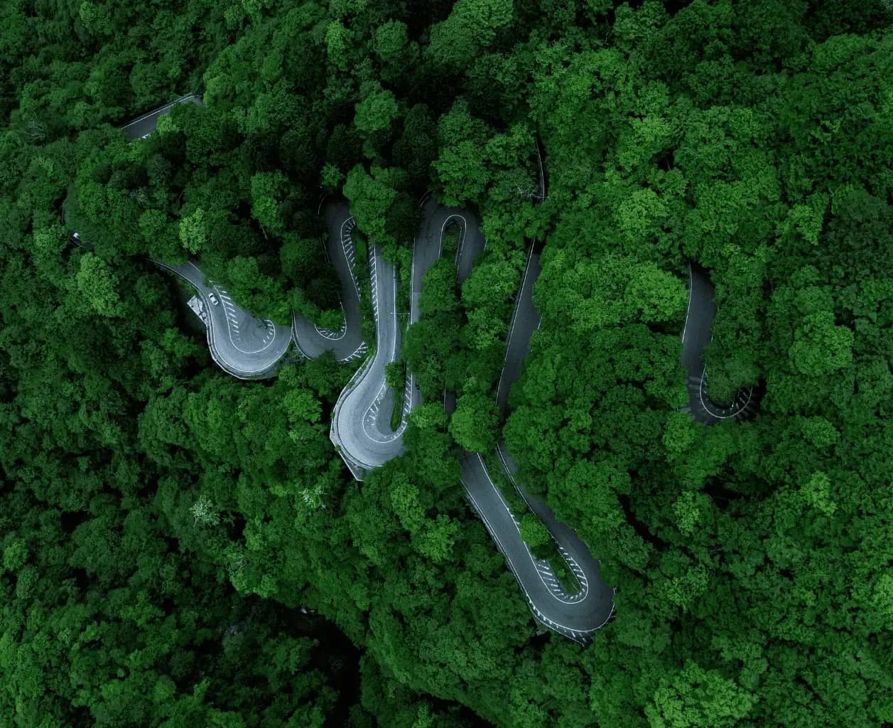 Family office reporting, an aerial view of a hairpin road winding through dense green forest.