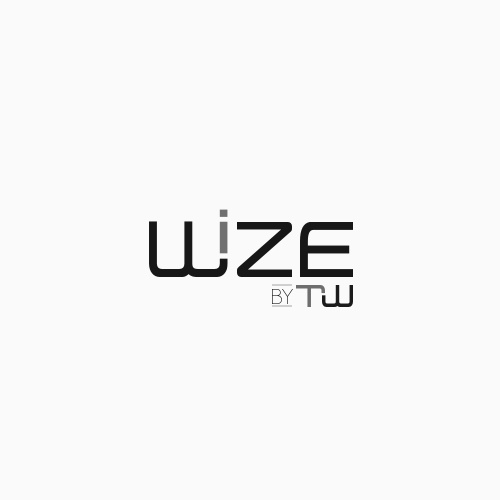 WIZE Logo