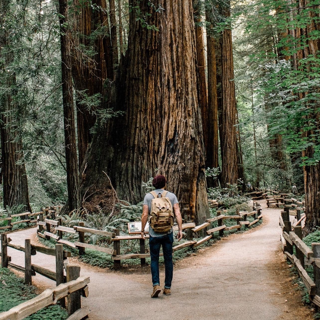 Passing On Family Wealth: Bitcoin vs. Gold