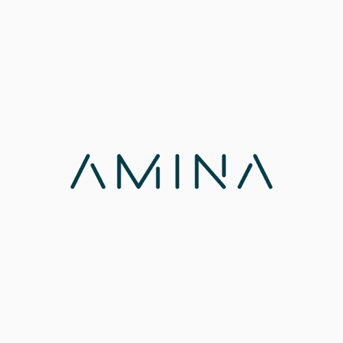 Amina Group
